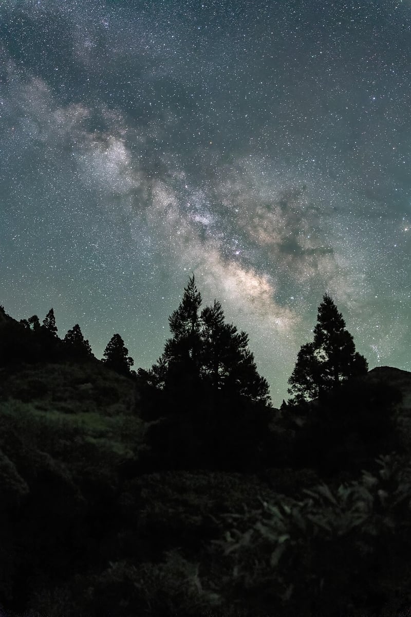 Time-Lapse Camera